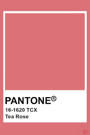 Pantone Tea Rose In 2019 Pantone Pantone Colour Palettes