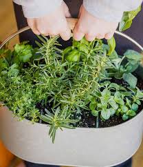Diy Indoor Herb Garden Ideas