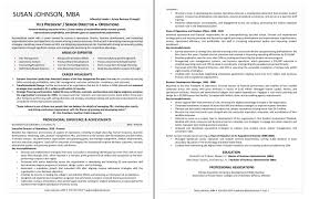 Mid Level Package Executive Resume Services
