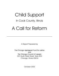 Child Support In Cook County Chicago Appleseed Fund For