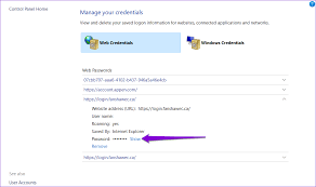 credential manager on windows 10