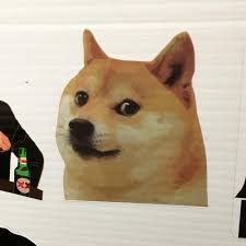 Dog Side Eye Meme Sticker – Buy Stickers Here