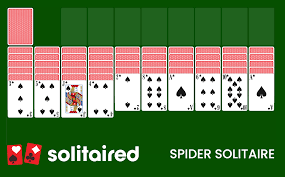 spider solitaire play 100