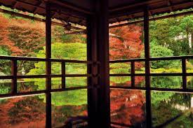 フォトジェニックな秋を！滋賀・坂本の元里坊「旧竹林院」の紅葉 | 滋賀県 | トラベルjp 旅行ガイド