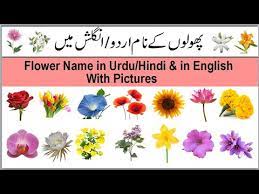 flowers name flowers name in urdu