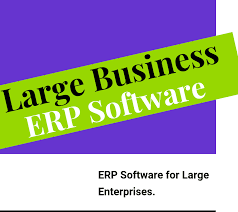 Top 19 Erp Software For Large Business Compare Reviews