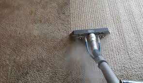 carpet steam cleaning in albuquerque