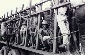 Resultado de imagem para Dia Nacional de Combate ao Trabalho Escravo