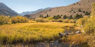 Colorado is a great place to go dispersed camping because the national forests cover millions of acres. Humboldt Toiyabe National Forest Expects Crowds During Warm Weather Sierra Nevada Ally