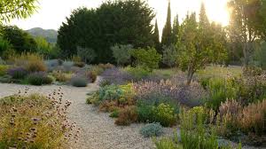 how to plan a dry garden ideas for