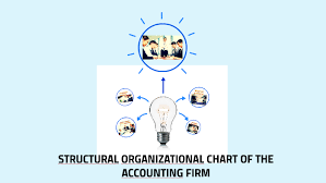 Structural Organizational Chart Of The Accounting Firm By
