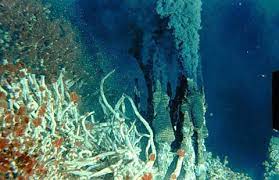 Blog do Pablo: A Origem da Vida: a química das fontes hidrotermais oceânicas pode explicar o surgimento da Vida