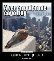 QUIEN DICE QUE NO | Desmotivaciones