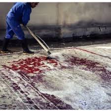 california yelp carpet cleaning