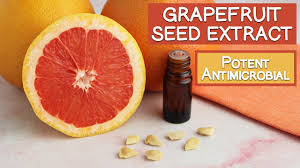 gfruit seed extract about it s