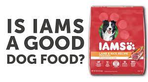 iams dog food reviews dogfoodreviews com