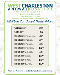 Neutering is a common surgery that we do in order to prevent unwanted litters of kittens and can also prevent/treat undesirable behavior such as aggression. Low Cost Spay Neuter Clinic In West Las Vegas Nv West Charleston Animal Hospital