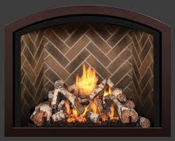 Mendota Gas Fireplaces