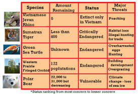 Endangered Animals Research Lesson For Kids Study Com