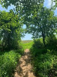 460 acres in a stream valley with a mix of wetlands, meadows, woodlands, gardens, and cultivated. Best Trails In Cromwell Valley Park Maryland Alltrails