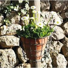 Zinc Grey Wire Wall Hung Basket Plant