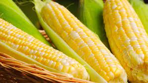 Pa Sweet Corn Could Be Hard To Find For The Fourth gambar png