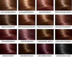 Henna Hair Dye Colours Chart 2019