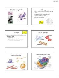 cell theory cytology cellular diversity