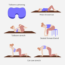 easy tailbone exercises to help relieve