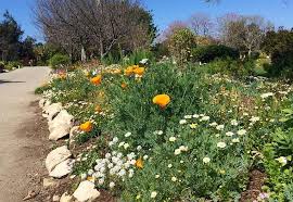Southern California Botanical Gardens