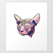 grumpy sphynx cat funny wrinkly