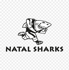 natal sharks vector logo free