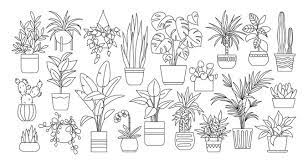 Plant Drawing Images Browse 9 555 380