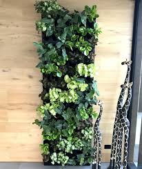 Office Modular Green Wall Systems