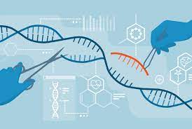 crispr gene editing prompts chaos in
