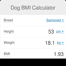 Dog Bmi Calculator Is Your Dog