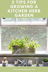 Growing A Diy Kitchen Herb Garden