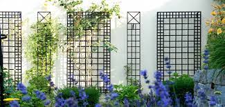 Exclusive Metal Wall Trellises In A
