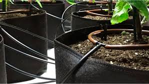 Automatic Drip Irrigation Setup For
