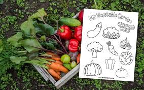 My Vegetable Garden Coloring Page A