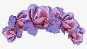 Use it in your personal projects or share it as a cool sticker on whatsapp, tik tok, instagram, facebook messenger, wechat, twitter or in other messaging apps. Purple Flower Crown Png Images Transparent Purple Flower Crown Image Download Pngitem