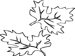 Bare Fall Tree Template Leaves Templates Buildingcontractor Co