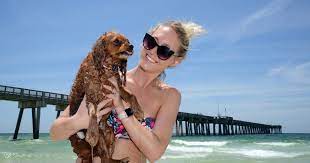your dog in panama city beach