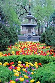 The Mould Fountain And Spring Flowers