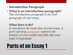   Argumentative Essay Examples With a Fighting Chance   Essay Writing Parts of Informative Essay