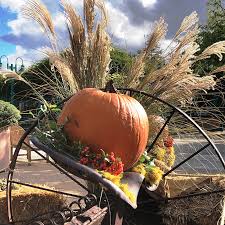 Harvest Festival City Of Albuquerque