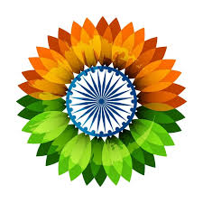 top 10 hd indian flag dp images