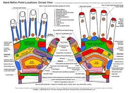 Reflexology Hand Chart Dorsal View Hand Reflexology