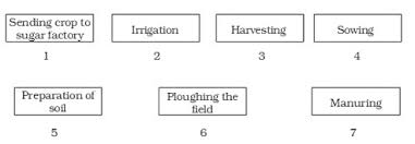 Crop Production And Management Food Cbse Class 8