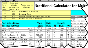 nutritional calculator spreadsheet